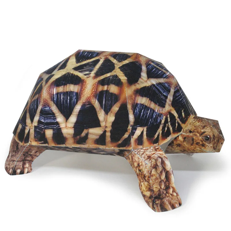 Indian Star Tortoise Paper Mod - огляд і ціна Art Craft Cardboard