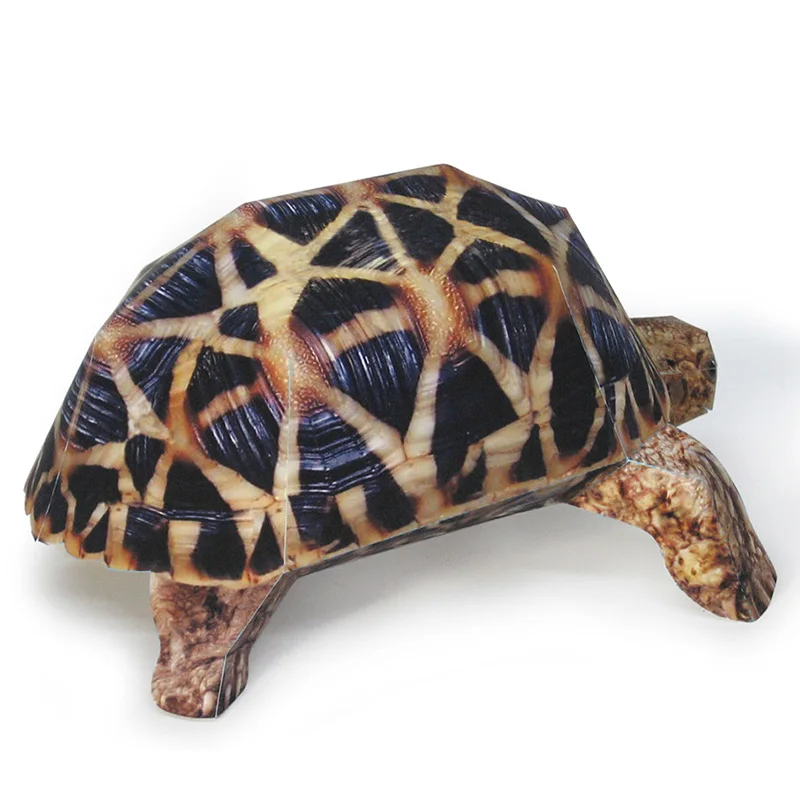 Indian Star Tortoise Paper Mod - огляд і ціна Art Craft Cardboard