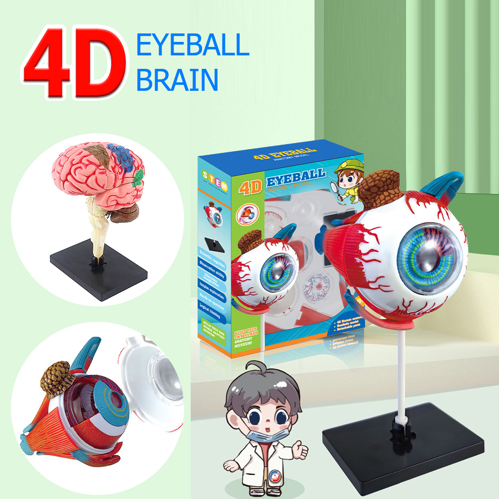 High Quality Arts Crafts Ornam - огляд і ціна Art And Craft Science