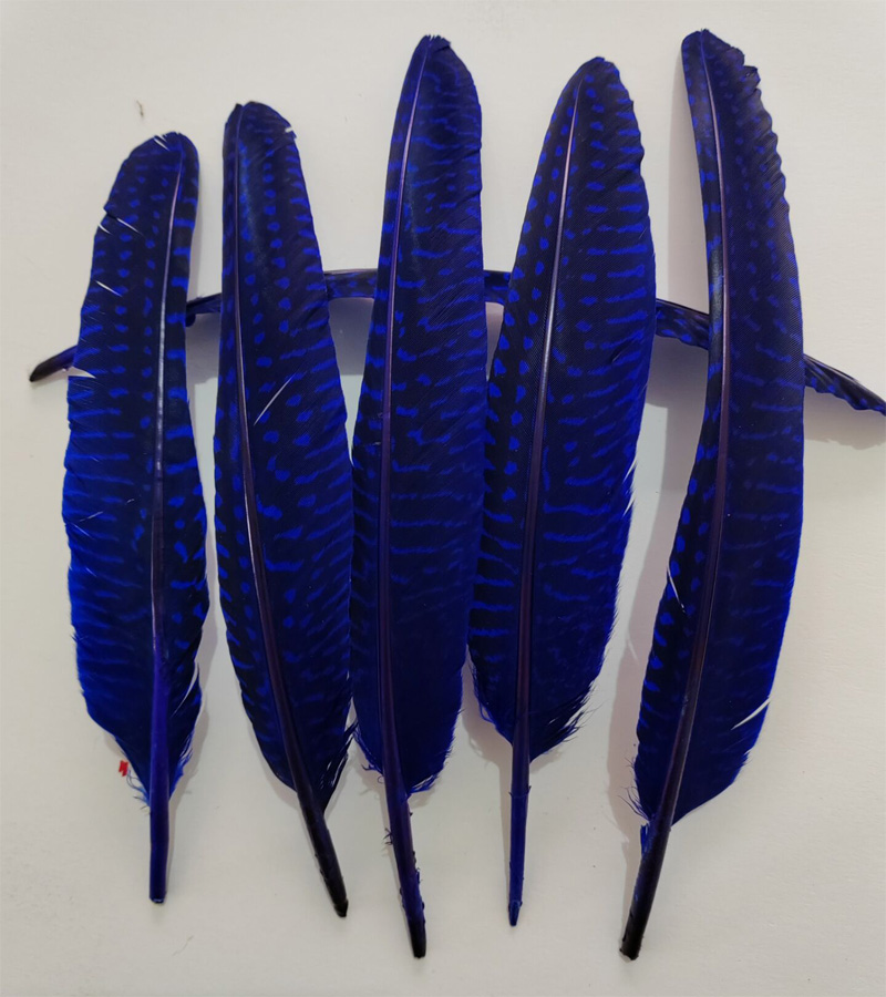 перья!100Pcs/Lot!14-20cm Multi - огляд і ціна Art Quilling Craft