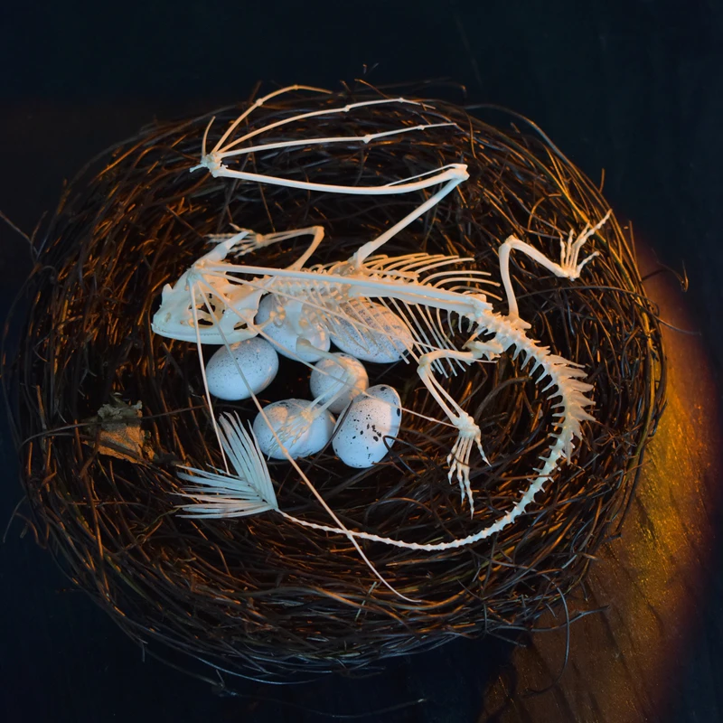 2125 Toothless Dragon Skeleton - огляд і ціна Art And Craft Science