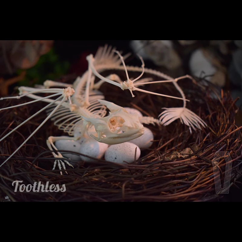 2125 Toothless Dragon Skeleton - огляд і ціна Art And Craft Science